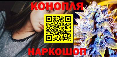 шишки Конаково