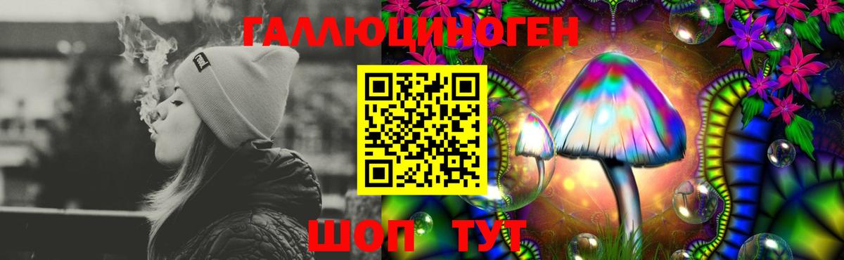 Псилоцибиновые грибы GOLDEN TEACHER Ейск